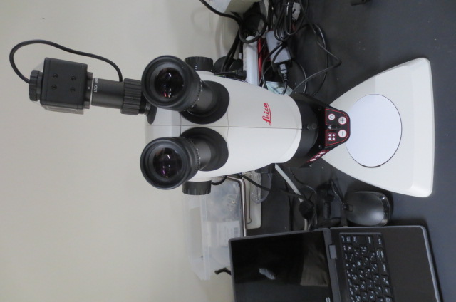 Microscope1写真