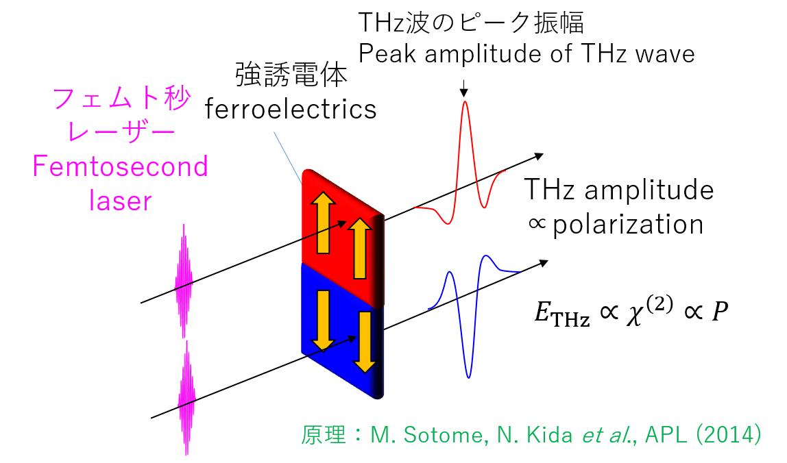 THz_img_schematics.png